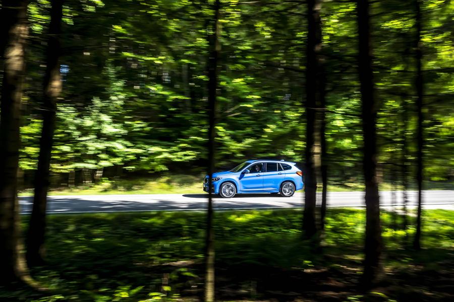  BMW X1 xDrive25i M Sport (F48) 2019 года  (WW) (фото 36 из 112)